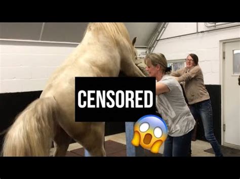 woman fucks horse|Horse Fuck Me